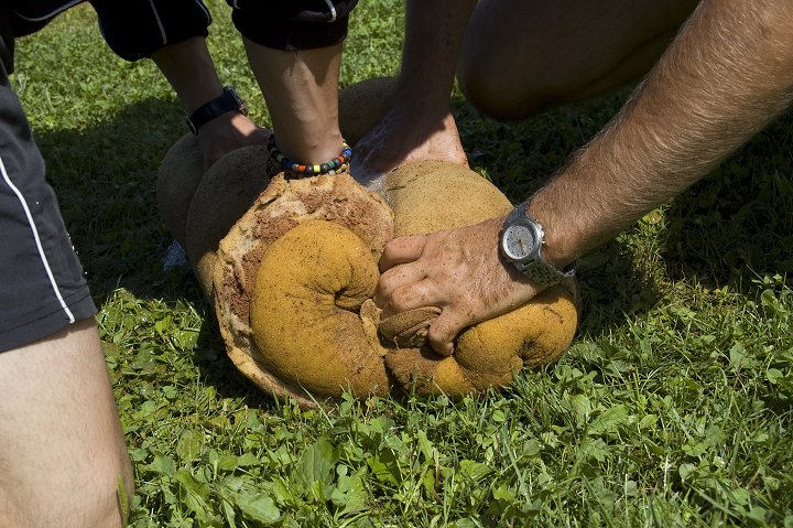 Bystřičská smeč 2009