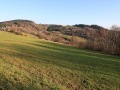 18TH-POLEDNIK-2019-11-24-2202