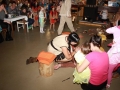 2017-maskarni-IMG_9633