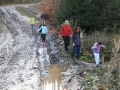 pASEKy-2019-10-20-1486